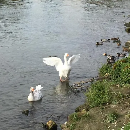 Dom wakacyjny Maison In Normandie *