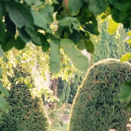 Maison In Normandie Saint-Pierre-la-Garenne