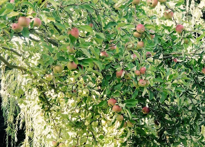 Semesterbostad Maison In Normandie *