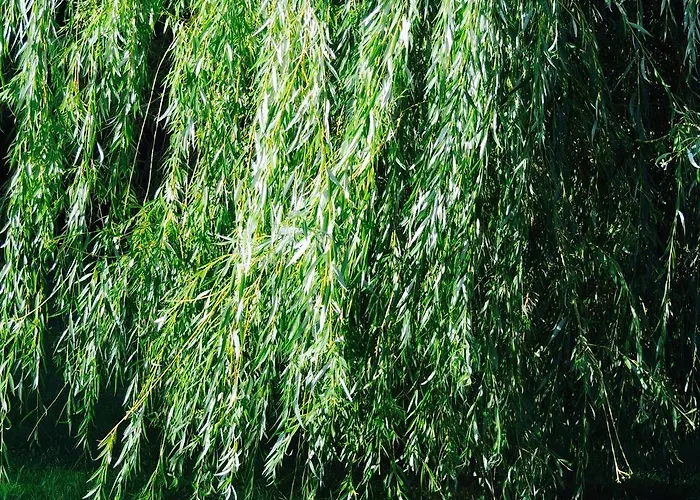 Maison In Normandie Semesterbostad Saint-Pierre-la-Garenne