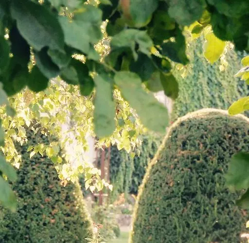 Maison In Normandie Saint-Pierre-la-Garenne